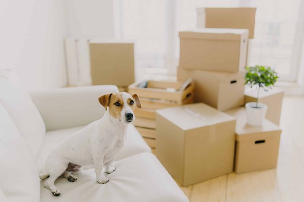 What are the Best Practices for Wearing a Silk Camisole in Cooler Months?