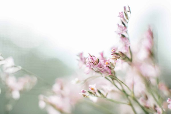 What are the Key Strategies for Wearing Pastel Leather in Spring?